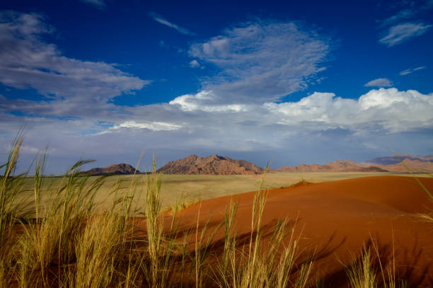 Elim dune, Namib desert