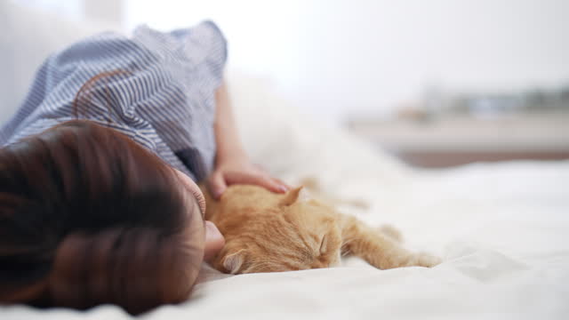 Close-up View of a Peaceful Nap: Woman Caresses Sleeping Ginger Cat on a Pristine White Bedspread
