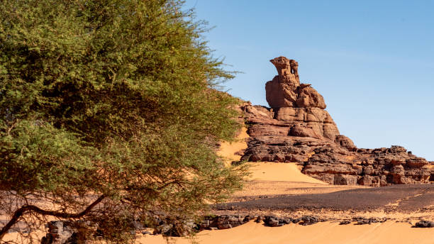 tadrart landscape in the sahara desert, algeria. - travel destinations mountain hiking profile fotografías e imágenes de stock