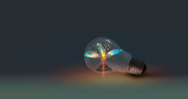 istock Light bulb with a sapling on the ground and sunlight. In a clean energy concept. Sustainable energy. Saving in nature and renewable energy. 2055710758