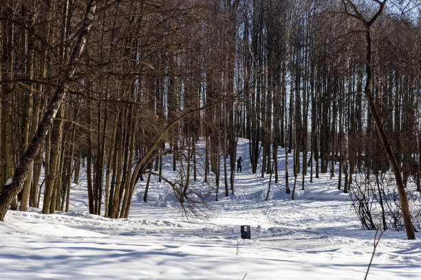istock A sunny March day in the park 2055723826
