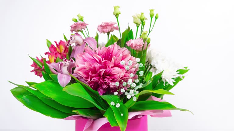 Big beautiful bouquet of  various natural flowers close up. White background.