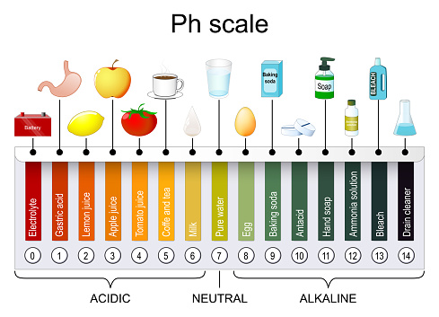 pH scale. Universal Indicator pH. Monitor pH for Alkaline and Acid levels. Litmus paper color chart. vector illustration