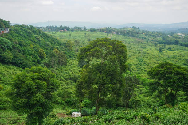 istock Beautiful natural scenery, the view from D'Castello tourist spot, Subang, West Java, Indonesia. 2055740083