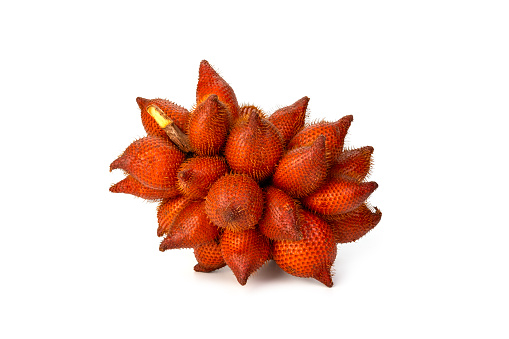 Close up Whole of Salak (Salacca zalacca) fruit isolated on white background.