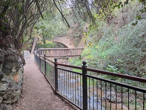istock Vateri magical forest trail Cyprus 2055758827