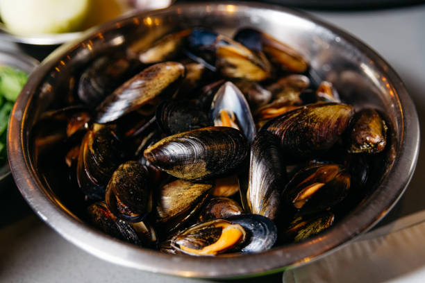 istock Fresh Mussels in Stainless Steel Bowl Ready to Cook 2055783321