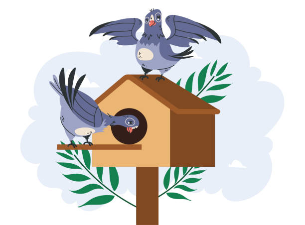 illustrations, cliparts, dessins animés et icônes de bird in birdhouse nest feeding box home concept. vector graphic design illustration - birdhouse wood isolated white background