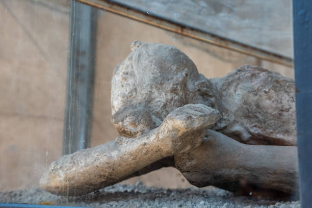 Pompeiian inhabitants petrified in their last situation of life, Italy Pompeiian inhabitants petrified in their last situation of life, Southern Italy victims the ruins of pompeii stock pictures, royalty-free photos & images