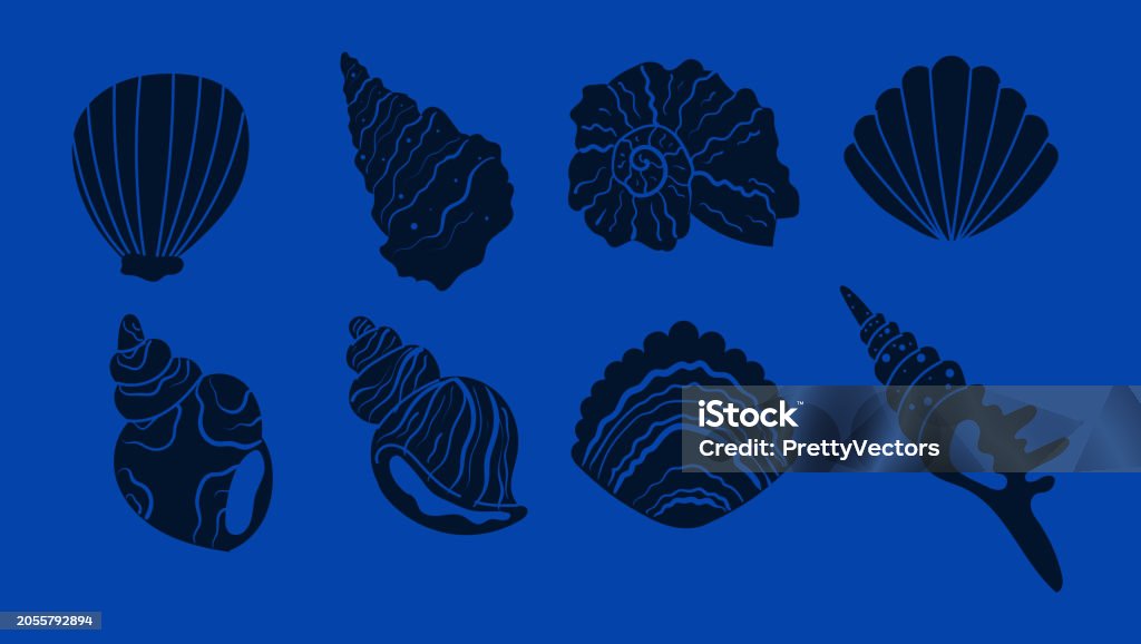 Abstract Shellfish Art Seashell Shell Star Shellfish Marine Aquatic Isolated Set Vector Flat ...