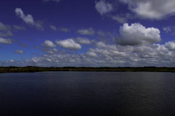A beautiful countryside landscape shot in the British Summer
