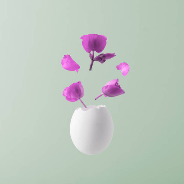 istock Creative Easter concept. White egg with purple flowers on blue pastel background. 2055830455