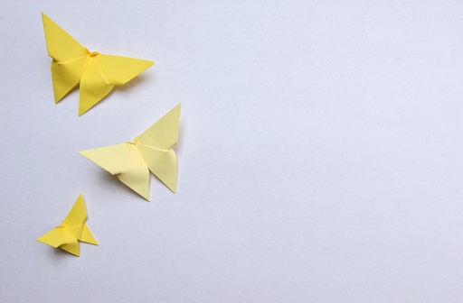 Overhead photo of yellow origami butterflies