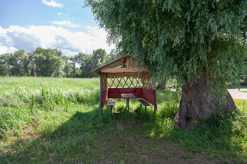 Gazebo in nature. A wooden gazebo stands next to a large tree. Inside there is a wooden table and benches