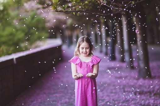 Beautiful girl in pink dress in cherry blossom park on a spring day, flower petals falling from the tree in Budapest, Hungary