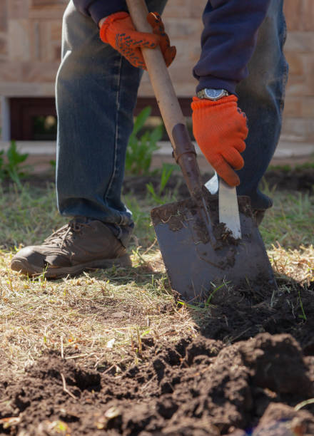 istock Hands in work gloves clean shovel from ground 2055915643