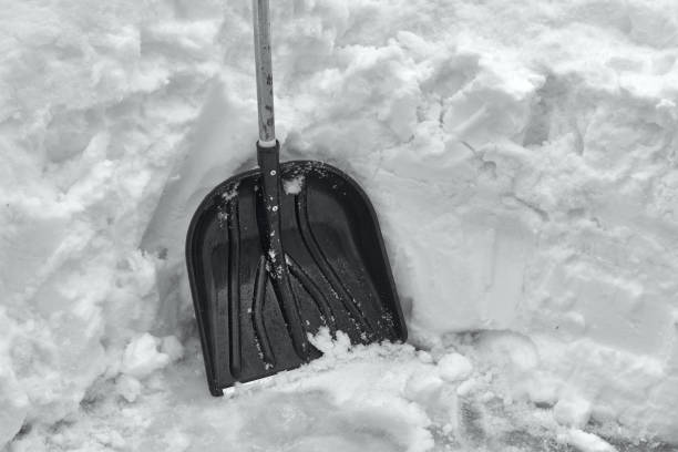 A snow shovel stands near a snowdrift.