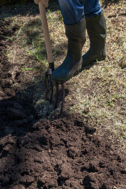 istock Man digs up land with pitchfork 2055917737