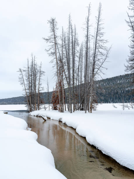 istock Winter stream leading into a frozen lake 2055960187