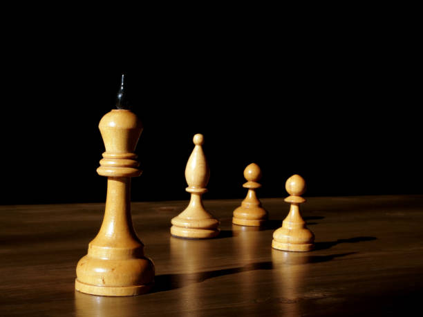 istock Chess king as a leader next to other pieces. 2055960709