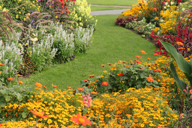 istock Beautiful flower garden 2056023828