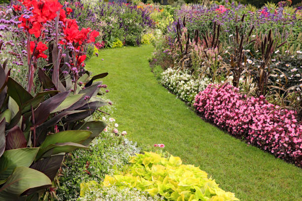 istock Beautiful flower garden 2056024345