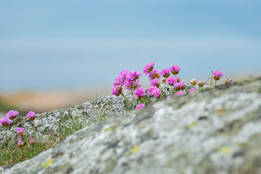 Barren rocks of Bohuslan. Gothenburg northern archipelago, Sweden.