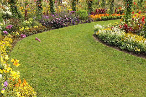 istock Beautiful flower garden 2056028547