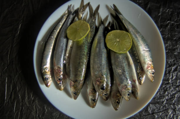 close-up shot of a fresh catch of frozen sardines (Sardinella lemuru) piled together after being unloaded from a commercial fish trawler. The image showcases the natural silvery scales and blue-tinted backs of the fish, glistening with ice crystals from the flash-freezing process. This stock photo represents the seafood industry, commercial fishing operations, and the raw supply chain for canned sardines and nutrient-rich fish oil. Ideal for editorial or commercial use regarding sustainable fishing, marine biology, and global seafood markets.
