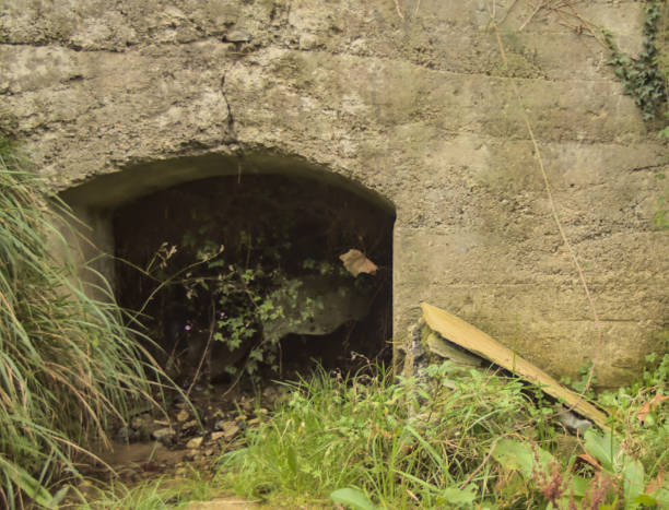 istock ruins of an old laundry house 2056093268