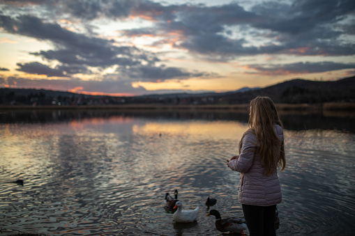 Young woman standing next to a lake and feeding ducks and with bread at sunset