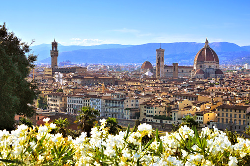 View over the beautiful city of Florence with flowers in foreground, Italy