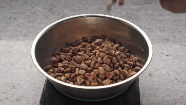 Nourishing Furry Friends: Dog Food Grains in Bowl