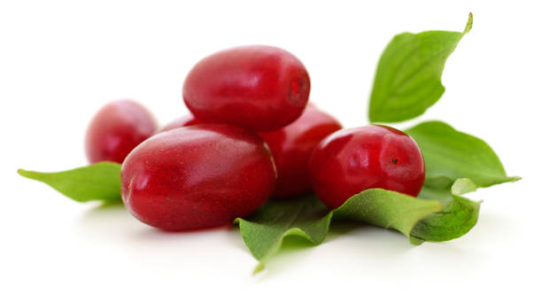 istock Dogwood berry with leaf. 2056161935