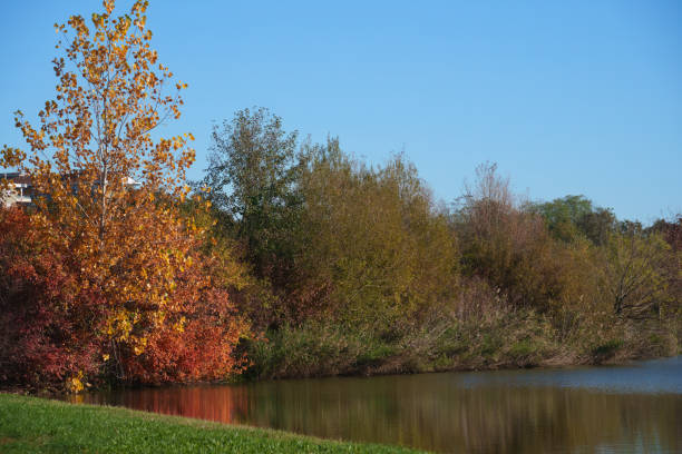 istock Autumn at Parco Nord, Milan, Italy 2056237888