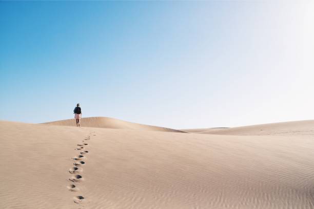 istock A person walking in the desert 2056309459