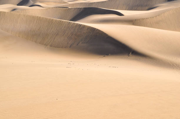 istock Landscape photo of desert 2056310611