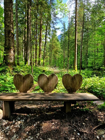 Sitzbank mit Herzen im Wald