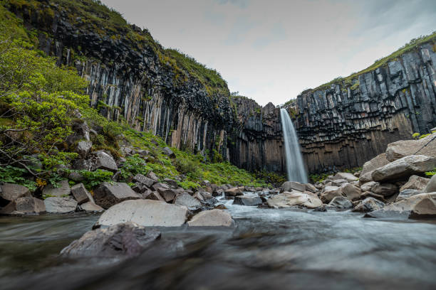 istock Svartifoss waterfall in skaftafell region on iceland. Beautiful waterfall viewed from low view, a lot of water coming from vertical basalt pillars. 2056370362