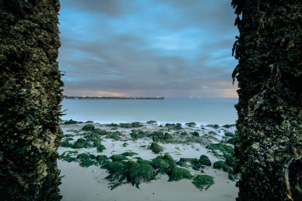 view through wooden poles covered with seaweed and barnacles at low tide  with passing cloudy sky at twilight - horizon over water blurred motion long exposure zeeland 뉴스 사진 이미지