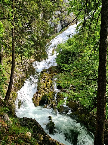Scheffau im Tennengebirge - Mühlen Rundweg oder Herzalweg - Schwarzenbach Wasserfall