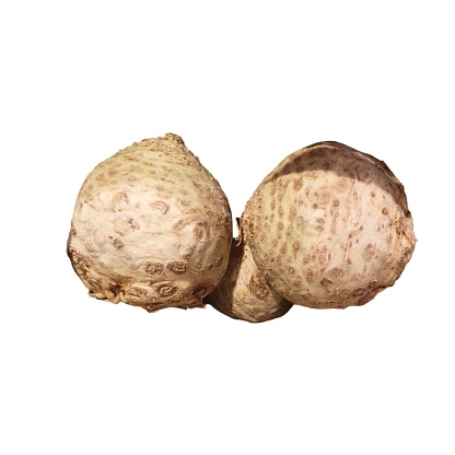 Two unpeeled celery roots (celeriac) isolated on a white background, showcasing their natural texture
