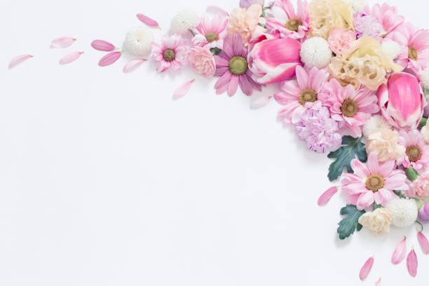 istock frame of flowers on white background 2056406287