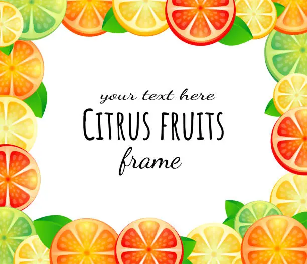 Vector illustration of Frame with citrus fruits slices. Mix of lemon, lime, grapefruit and orange.