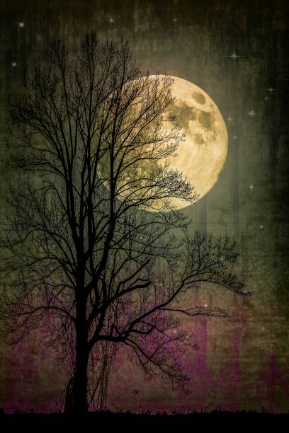 istock Spooky Moon and Tree Silhouette - Atmospheric Mood 2056441968