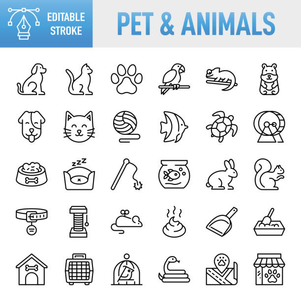 ilustrações de stock, clip art, desenhos animados e ícones de pet & animal - thin line vector icon set. pixel perfect. editable stroke. for mobile and web. the set contains icons: pets, petting, dog, domestic cat, animal themes, animal, rabbit - animal, pet food, fish, bone, animal head, pet equipment - animal de estimação