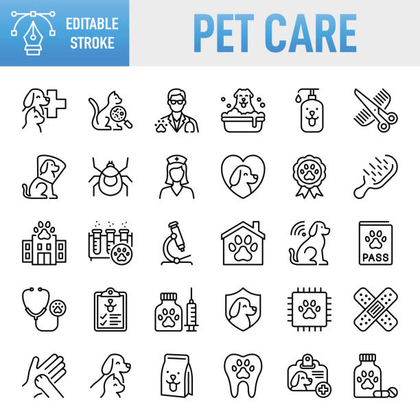 ilustrações de stock, clip art, desenhos animados e ícones de pet care - thin line vector icon set. pixel perfect. editable stroke. for mobile and web. the set contains icons: veterinarian, healthcare and medicine, medicine, insurance, grooming - animal behavior, animal hospital, animal welfare, care, vaccination - paw print paw shield vector