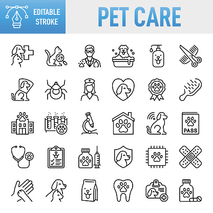 Pet Care Line Icons. Set of vector creativity icons. 64x64 Pixel Perfect. For Mobile and Web. The set contains icons: Idea generation preparation inspiration influence originality, concentration challenge launch. Contains such icons as Veterinarian, Healthcare And Medicine, Medicine, Insurance, Grooming - Animal Behavior, Animal Hospital, Animal Welfare, Care, Vaccination, Syringe, Capsule - Medicine, Scissors, Passport, Food, Pet Food, Pet Food Dish, Sheltering, Pet Owner