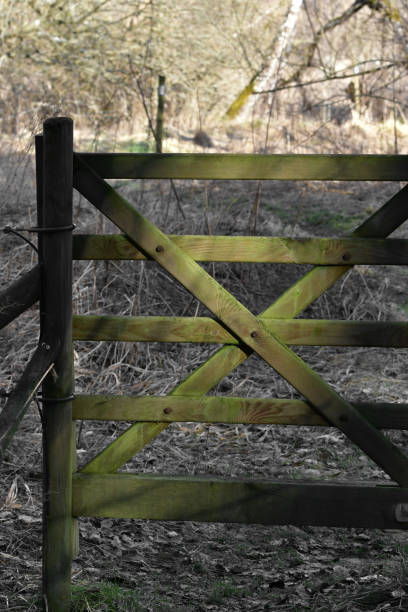 istock Photo of a small gate hit by sunlight 2056460581