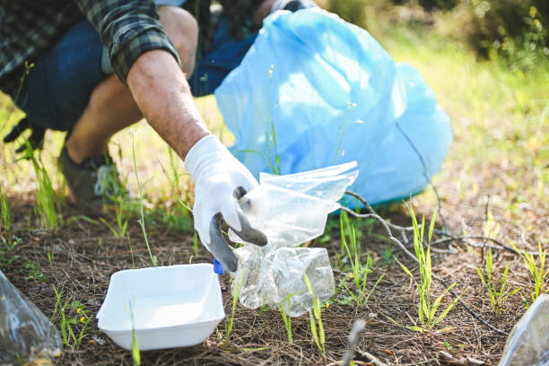 istock male volunteer collecting garbage in the forest 2056481876
